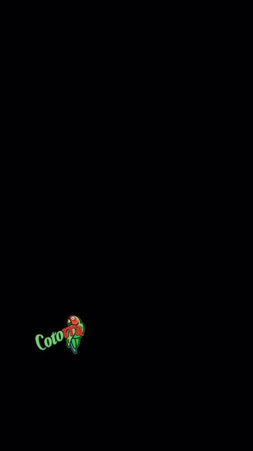 @Cotorramusicoficial🦜