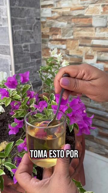 @Gladys Rubio Forero
