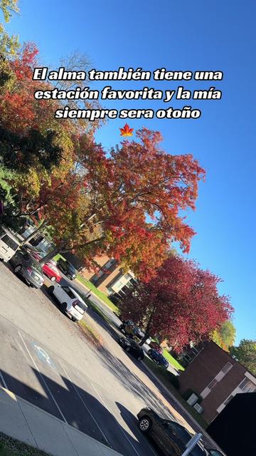 @Josselyn