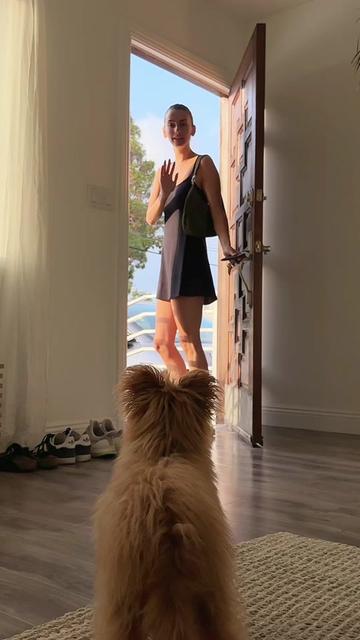 @Honey The Pomapoo 🧸