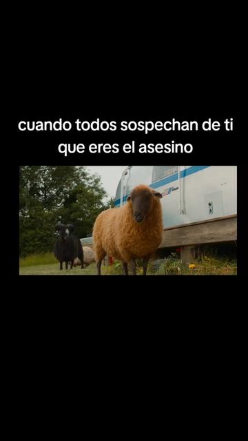 @Damian Suas channel