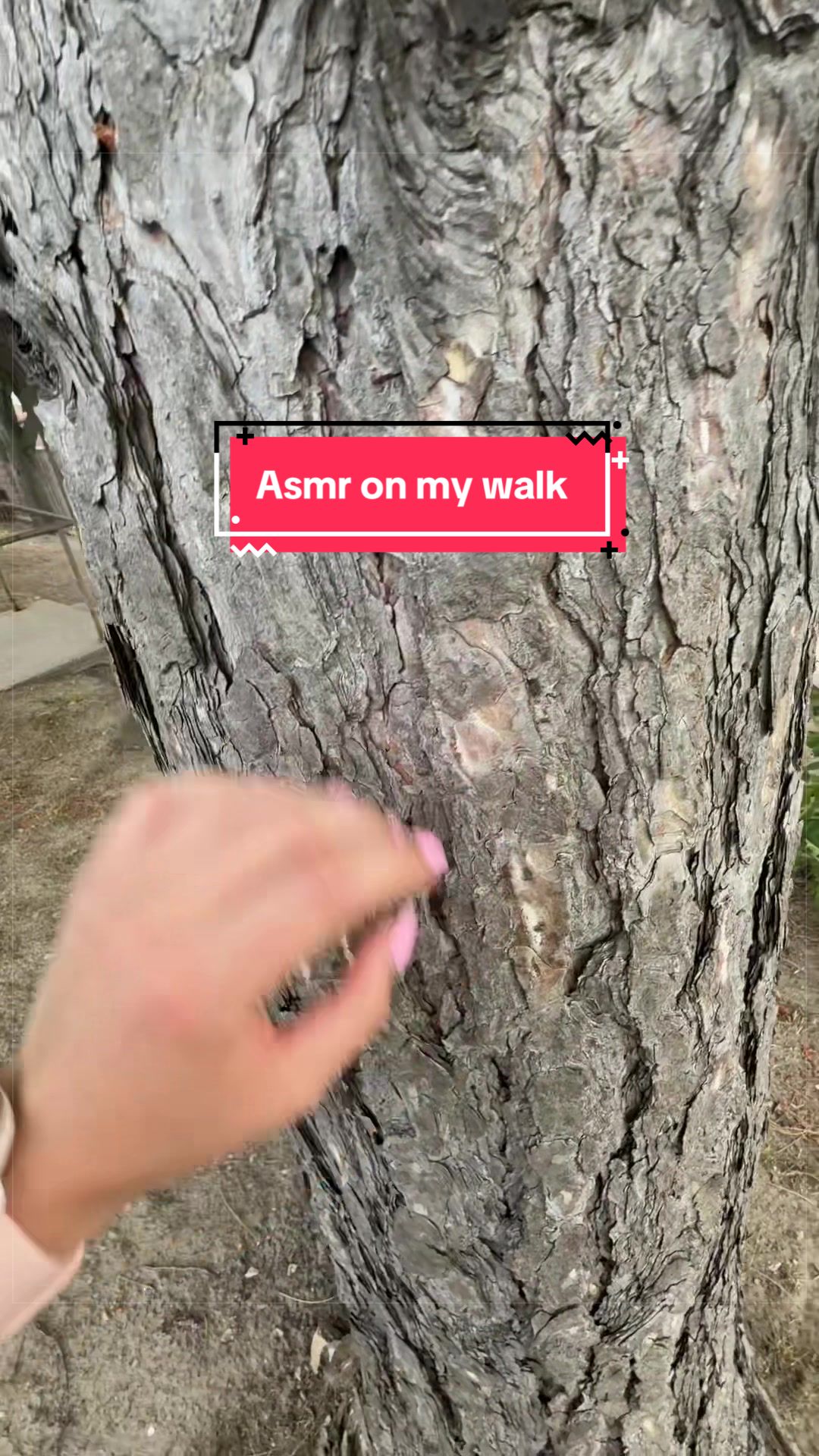 @sjl asmr🩷