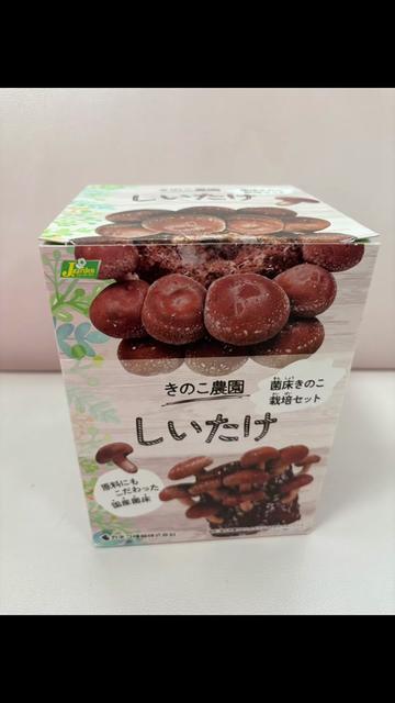 @ふじた整骨院