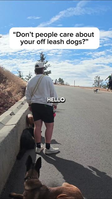 @forthedogs