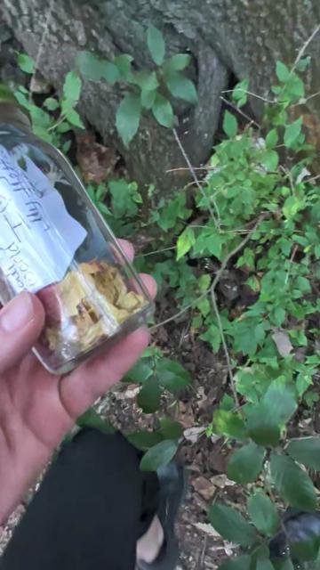 @90sgirlinthe20s