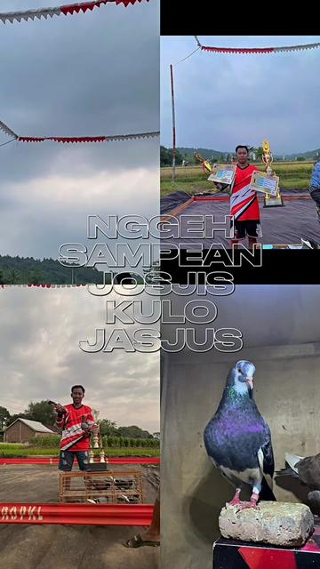 @Topex16
