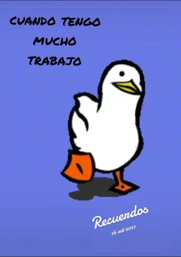 @Coriina Medina