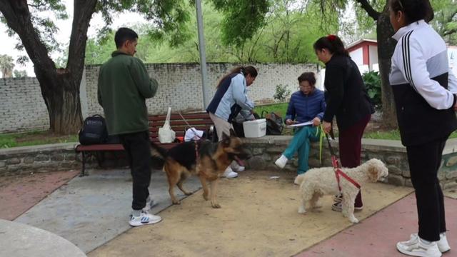 @Sec.Desarrollo.Humano.Tarija