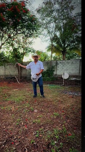 @José Ramón Medina