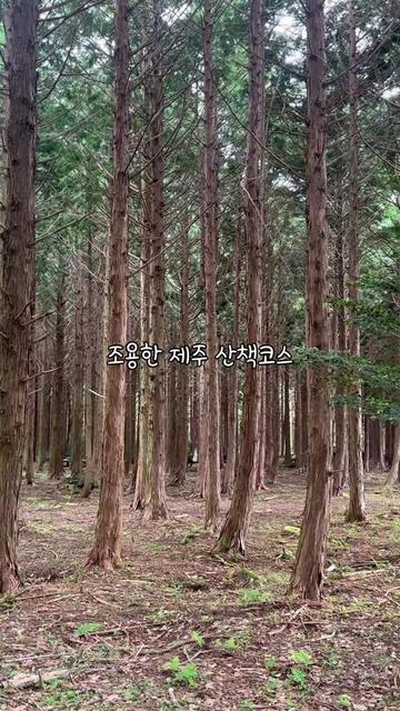 @제주도
