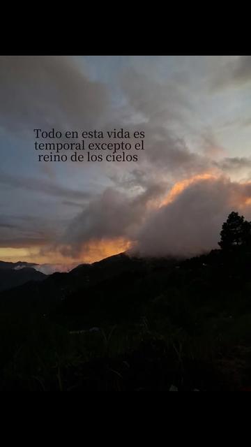 @🦋14♡🦋🍃