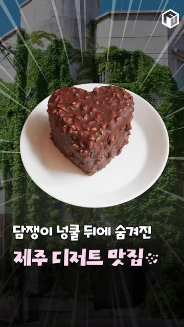 @제주톡톡