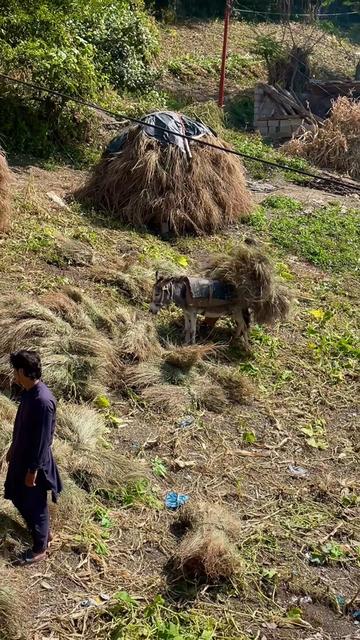 @BANJARA