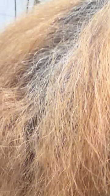 @Sthewal Hair