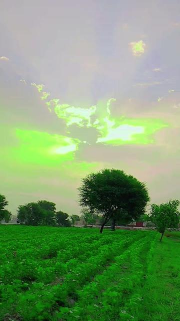 @bhai jaan
