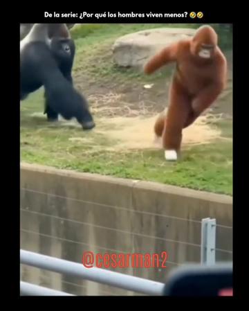 @CesarMan2