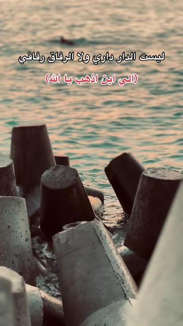 @🔁| يـسـن 🐺