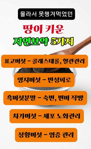 @건강해지는 건강꿀통