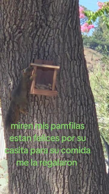 @Chetita