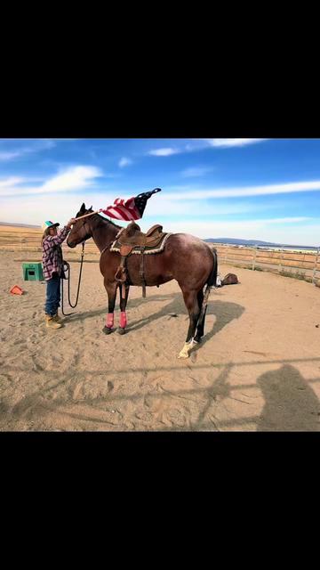 @Cowgirl Tuff Colt Training ❤️