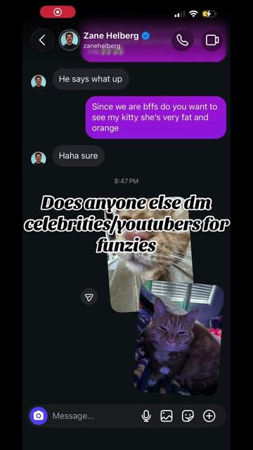 @🐛