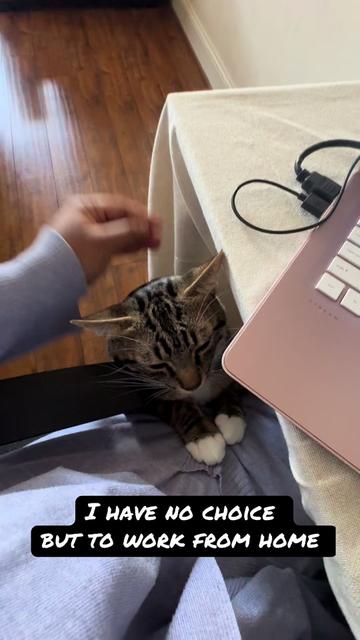 @Taka