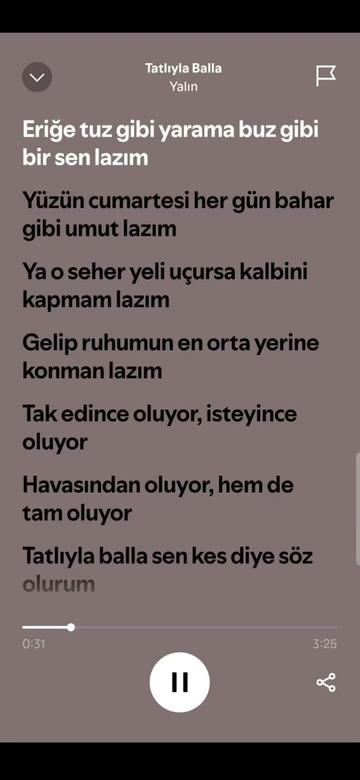 @spotifyy top