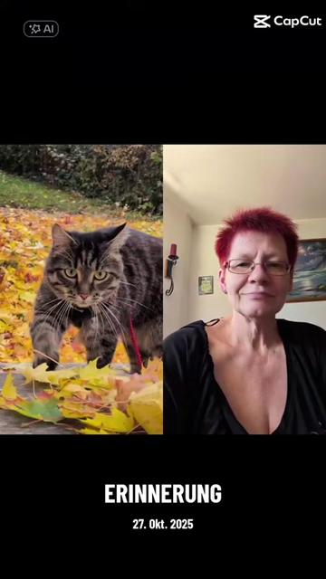 @😻Katrin&Odin 😻Modi Muddi 😻