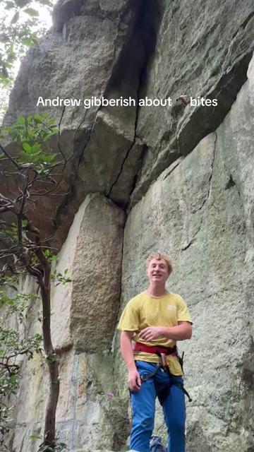 @aims