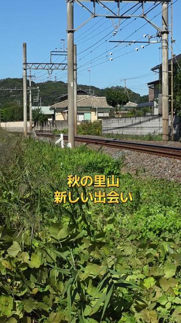 @よこもと【鉄道と音楽を愛す】