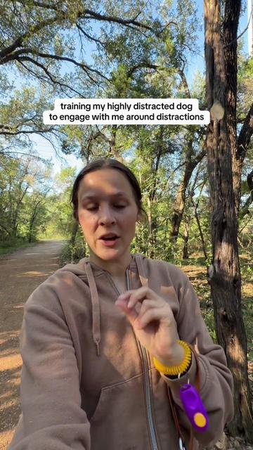 @Abby KPA-CTP | Dog Trainer