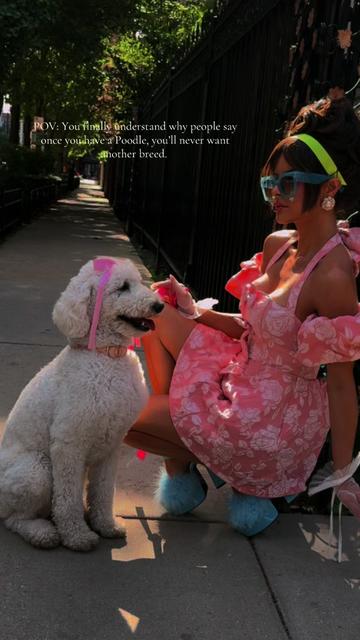 @packwalkdiaries