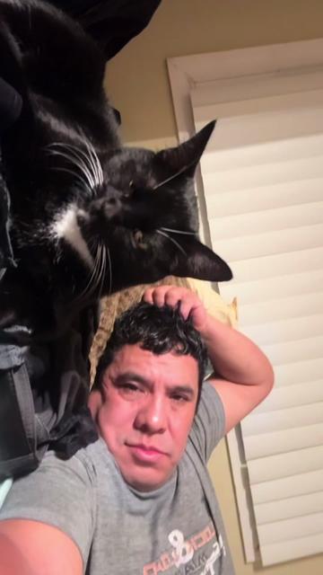 @Norberto Norberto Henríquez
