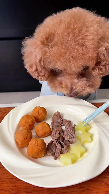 @dog eat