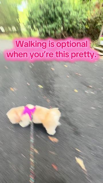 @Queen Penny