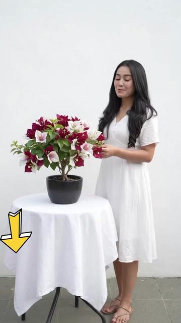 @NUNUNG INSANI