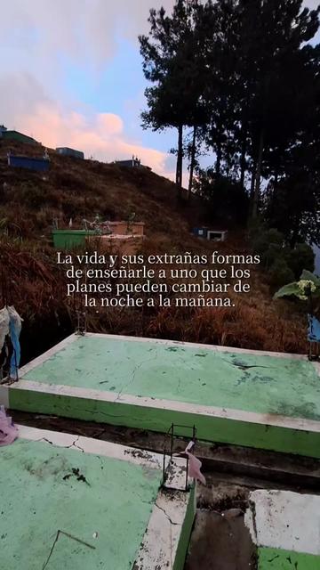 @🦋14♡🦋🍃