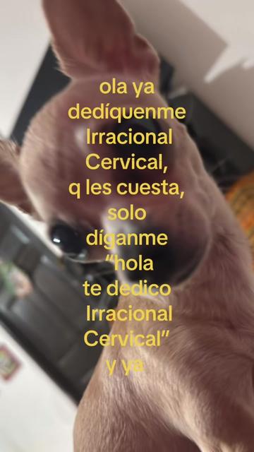 @adristreets