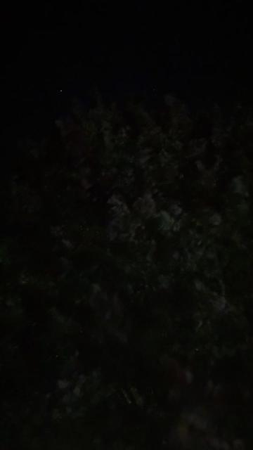 @w_r_a_i_t_h_