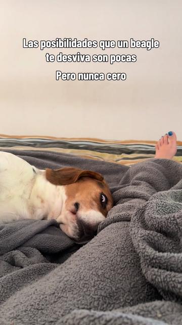 @Gema Fernández D’Zelaya