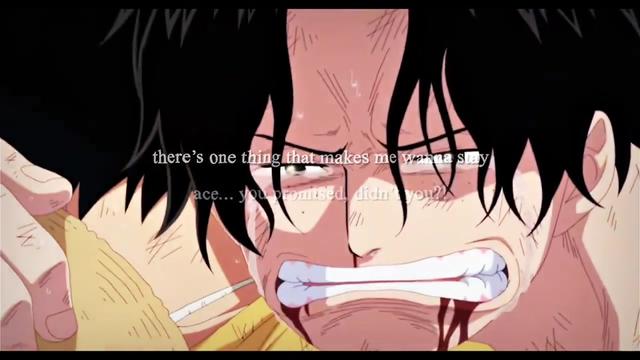 @SHINKO