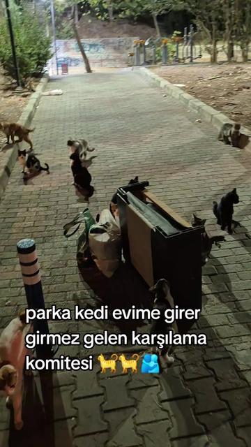 @HAYCAN MEDYA 🌐✔️