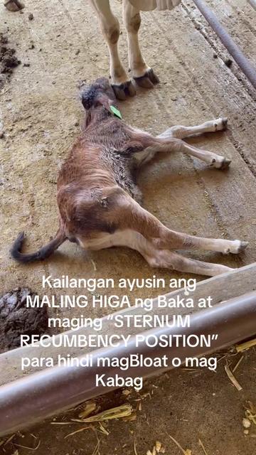 @ATTY. RAUL &ldquo;Kabaka&rdquo; LAMBINO