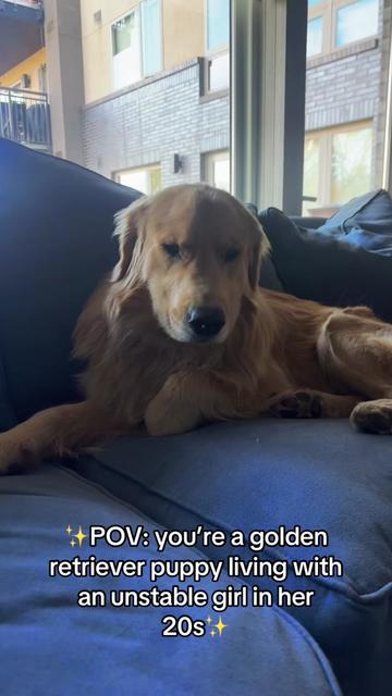 @rigatoni_thegolden