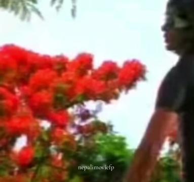 @Nepali Movie Fanpage