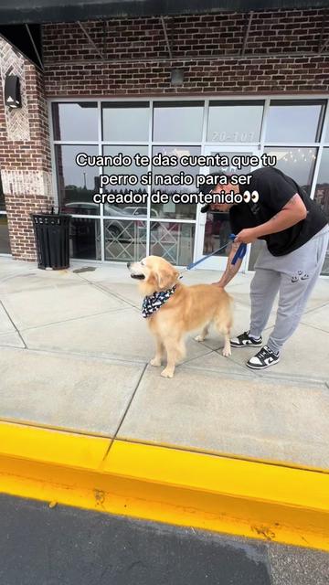 @Thebestgoldenlife