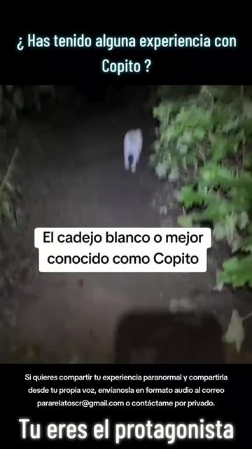 @PARARELATOSCR
