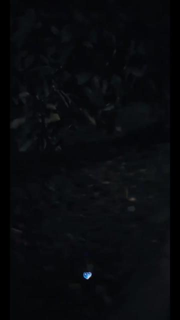 @jambofan⁷