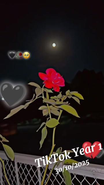 @🥀M.A$∆D🥀