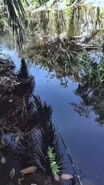@rtk_lure
